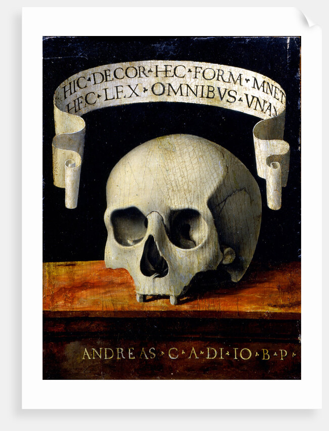 Memento Mori, Early16th cen by Andrea Previtali