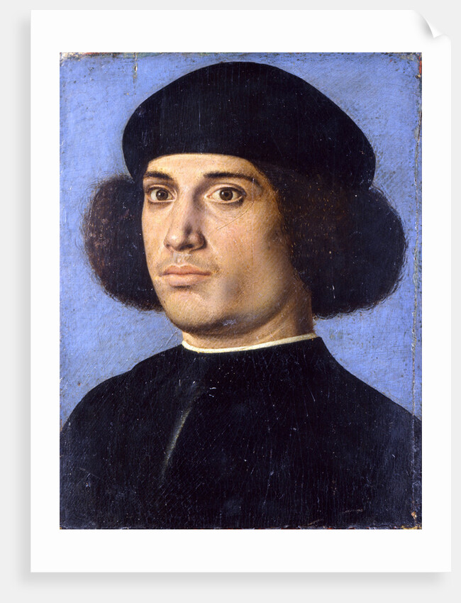 Portrait of a Man, Early16th cen by Andrea Previtali