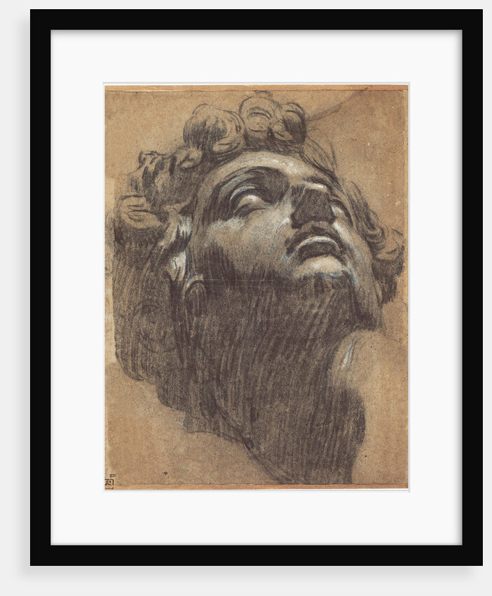 Head of Giuliano de Medici (1479?1516), 1540s by Jacopo Tintoretto