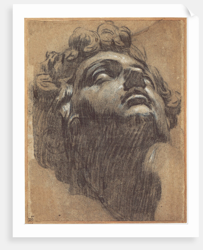 Head of Giuliano de Medici (1479?1516), 1540s by Jacopo Tintoretto