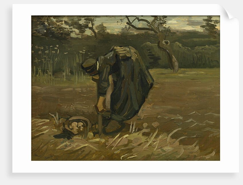 Peasant woman, harvesting potatoes, 1885 by Vincent van Gogh