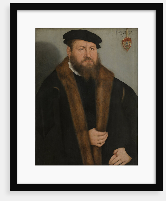 Portrait of a man, 1557 by Lucas Cranach the Younger