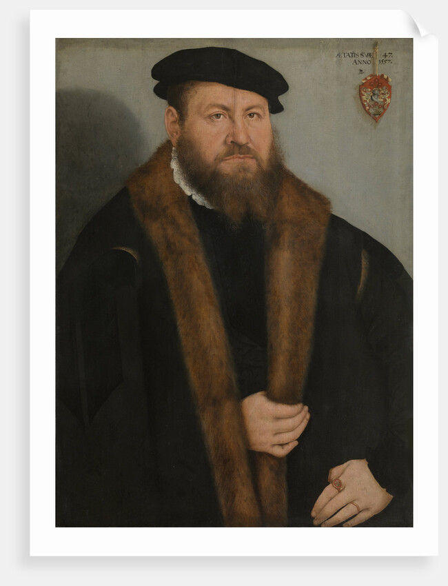 Portrait of a man, 1557 by Lucas Cranach the Younger