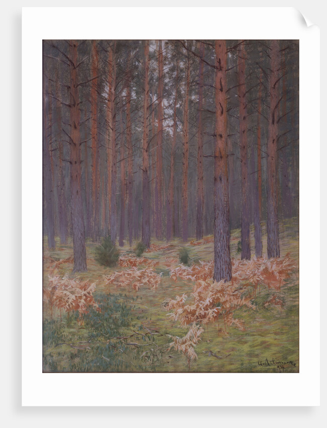Ferns, 1894 by Isaak Ilyich Levitan