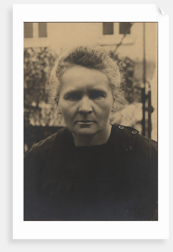 Portrait of Marie Curie by Anonymous