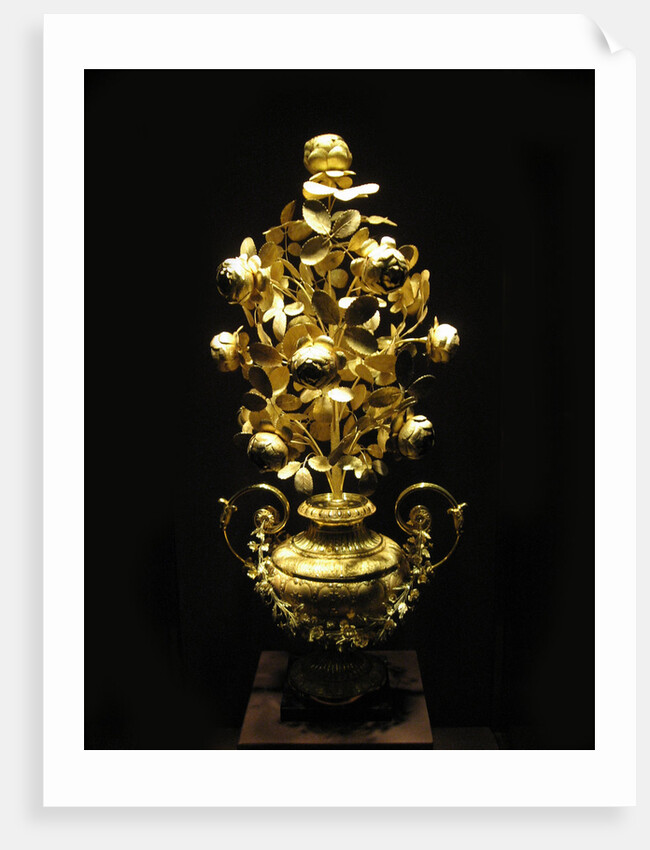 The Golden Rose by Pietro Paolo Spagna