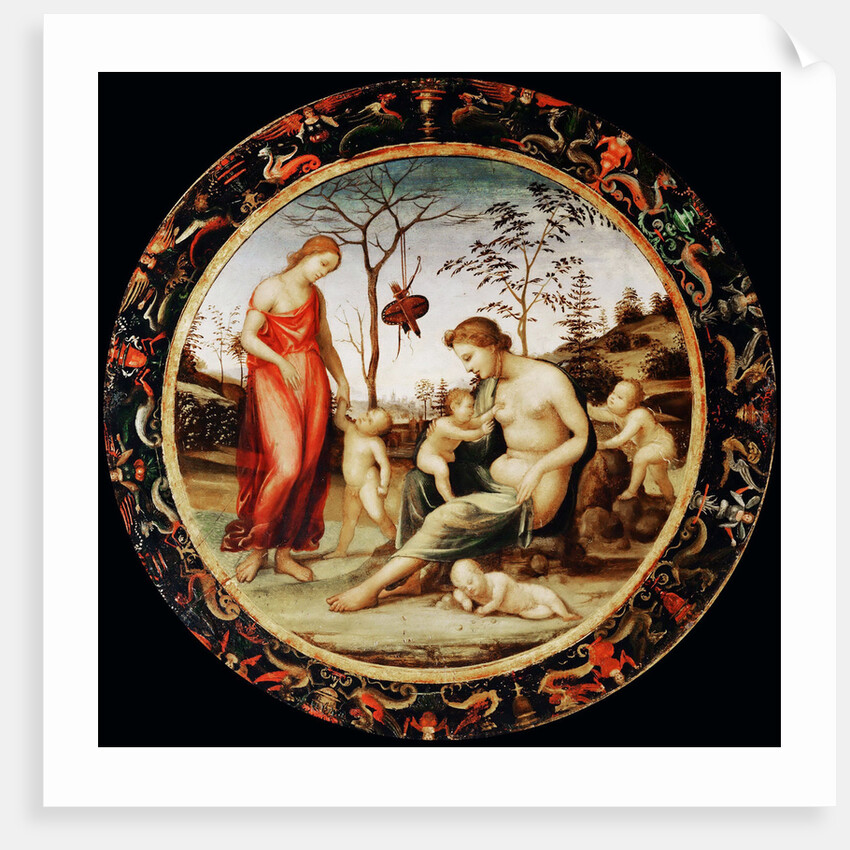 Allegory of Love (Venus terrestre with Eros and Venus celeste with Anteros and two cupids) by Sodoma