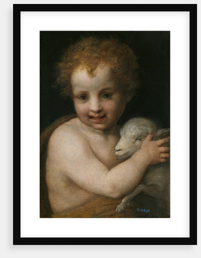 John the Baptist as child by Andrea del Sarto