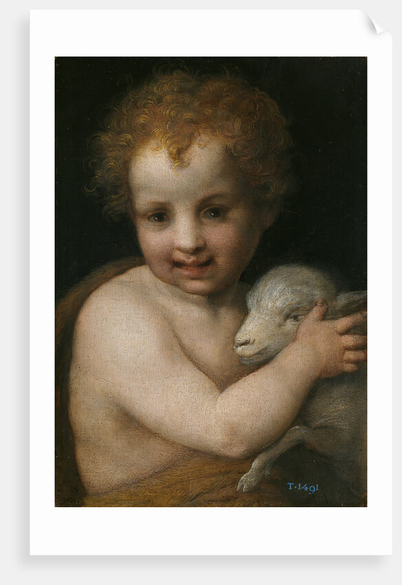 John the Baptist as child by Andrea del Sarto