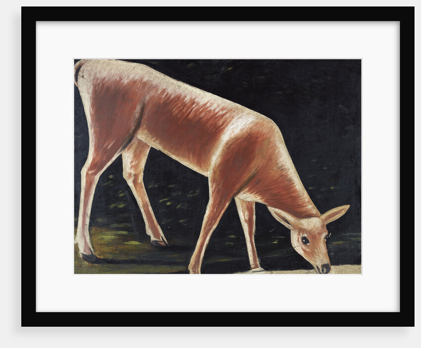 Roe deer drinking by Niko Pirosmani