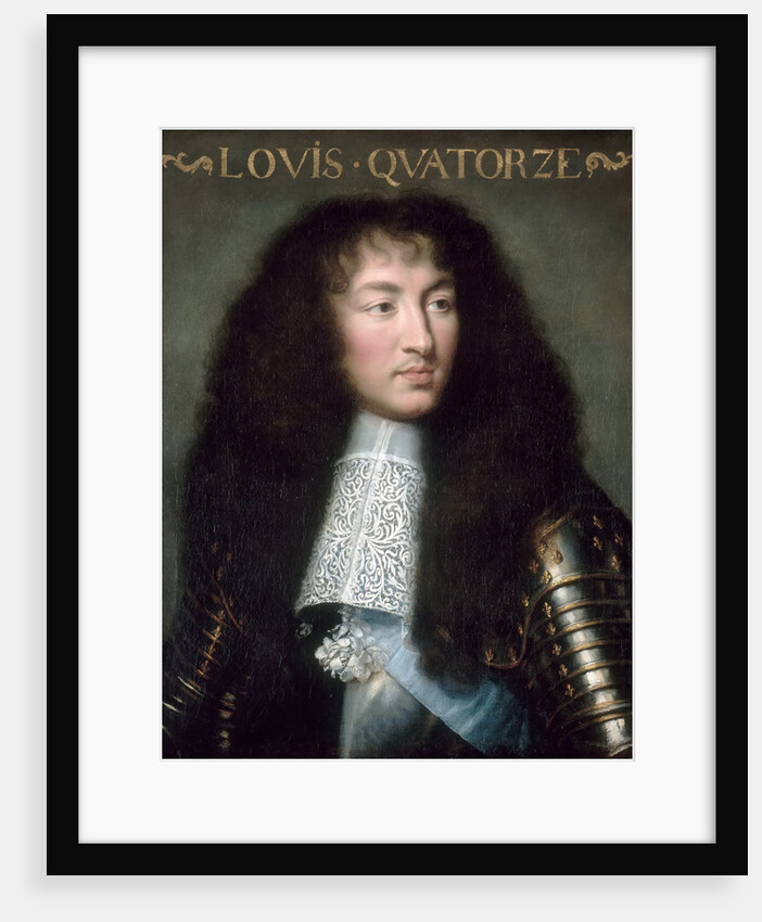 Louis XIV, King of France by Charles Le Brun