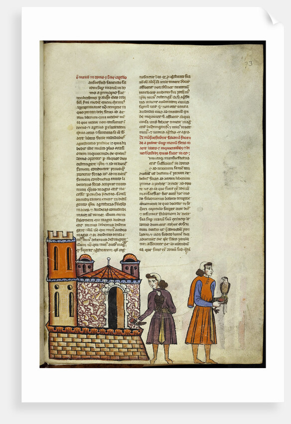 De Arte Venandi cum Avibus (On The Art of Hunting with Birds) by Anonymous