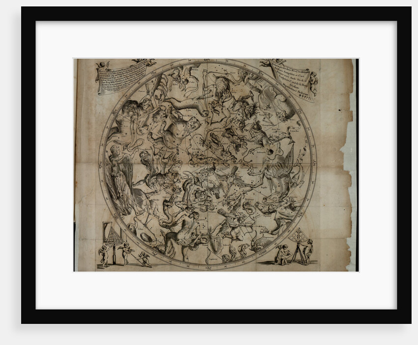Table of the constellation of the Northern Hemisphere (Firmamentum Sobiescianumsive Uranographia) by Johannes Hevelius