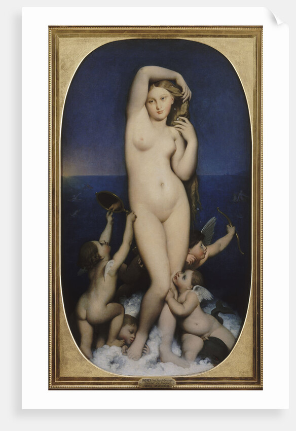 Venus Anadyomene by Jean Auguste Dominique Ingres