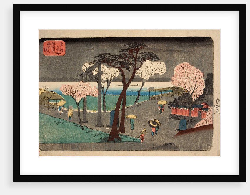 Cherry Trees in Rain on the Sumida River Embankment. (Sumida zutsumi uchû no sakura) by Utagawa Hiroshige