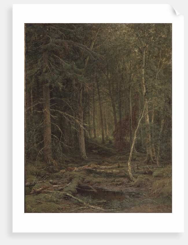 Backwoods by Ivan Ivanovich Shishkin