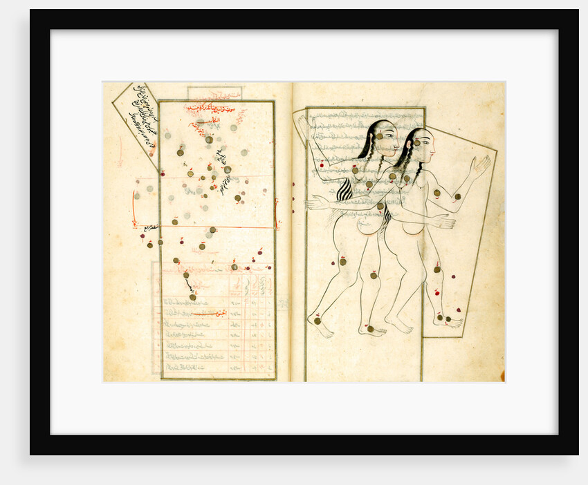The Constellation Gemini by Iranian master
