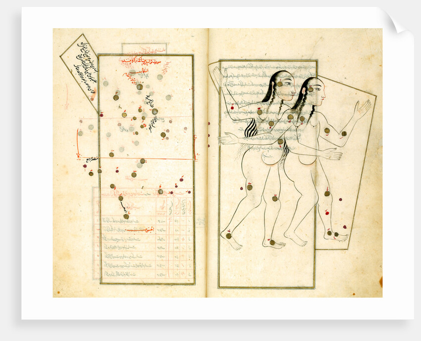 The Constellation Gemini by Iranian master