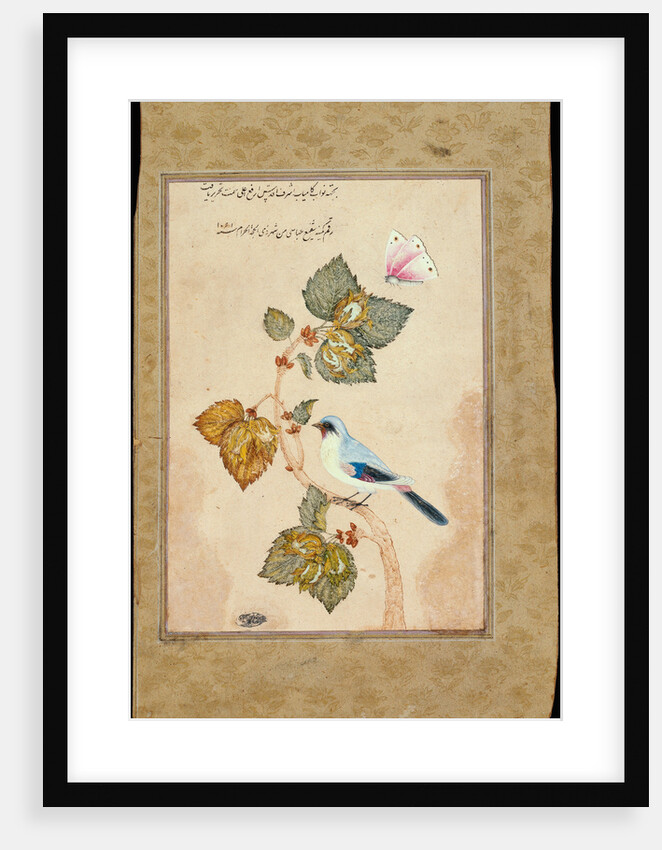 A Bird on a Hazel Branch by Muhammad Shafi Abbasi