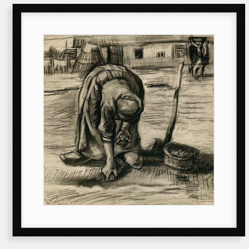 Peasant Woman Planting Potatoes by Vincent van Gogh
