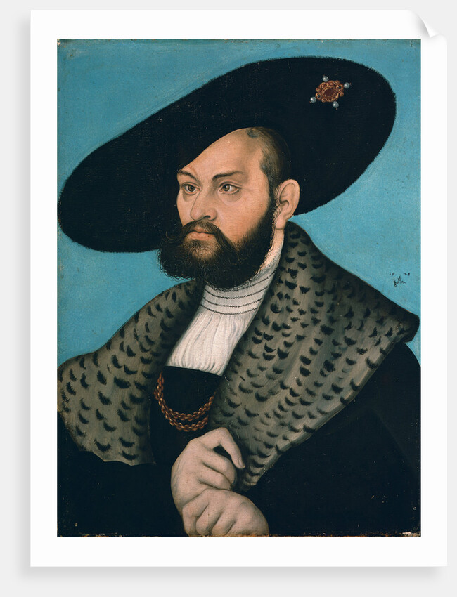 Portrait of Margrave Abrecht of Brandenburg-Ansbach, Duke of Prussia by Lucas Cranach the Elder