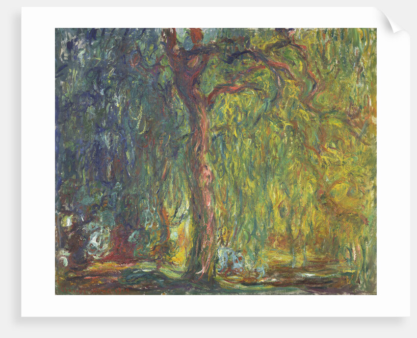 Weeping Willow by Claude Monet