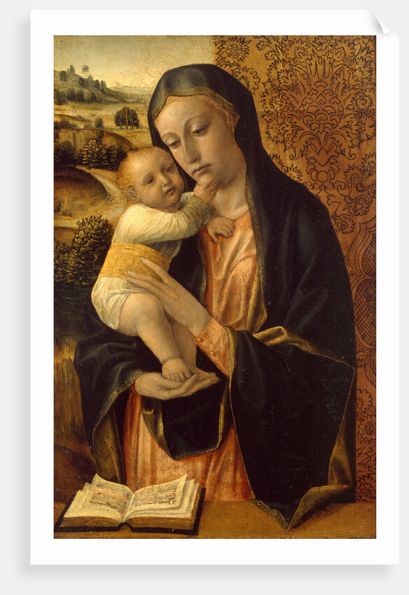 Virgin and Child by Vincenzo Foppa