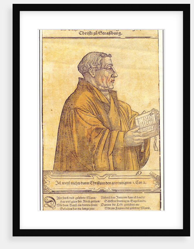 Martin Bucer by Anonymous