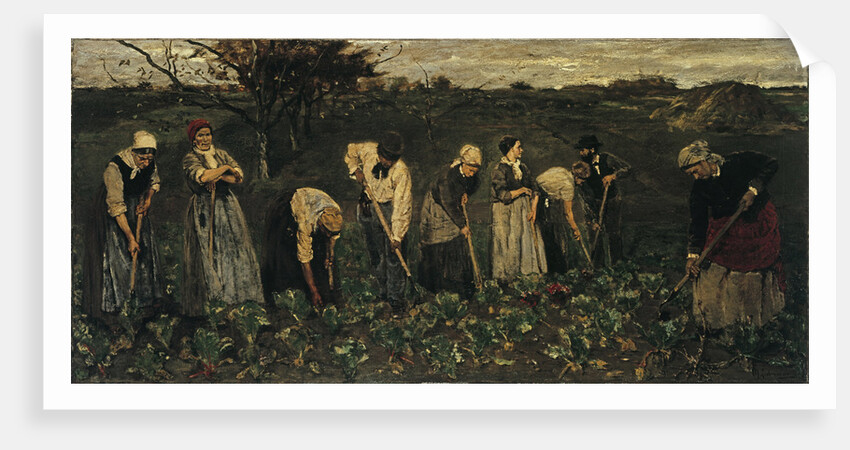 Workers on the beet field by Max Liebermann