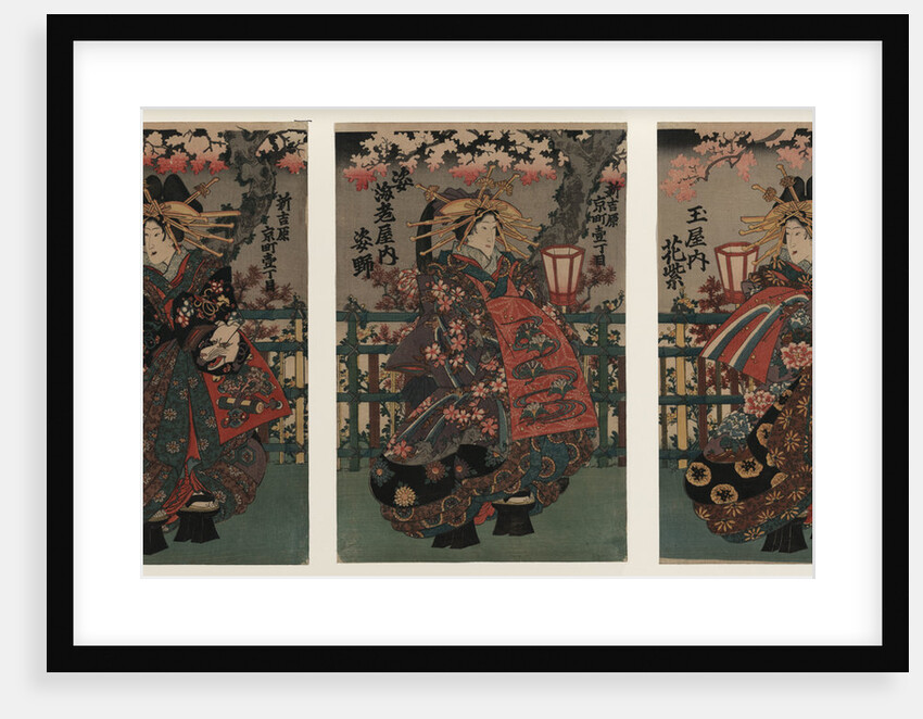 Courtesans Shigeoka, Sugatano and Hanamurasaki. Triptych by Anonymous
