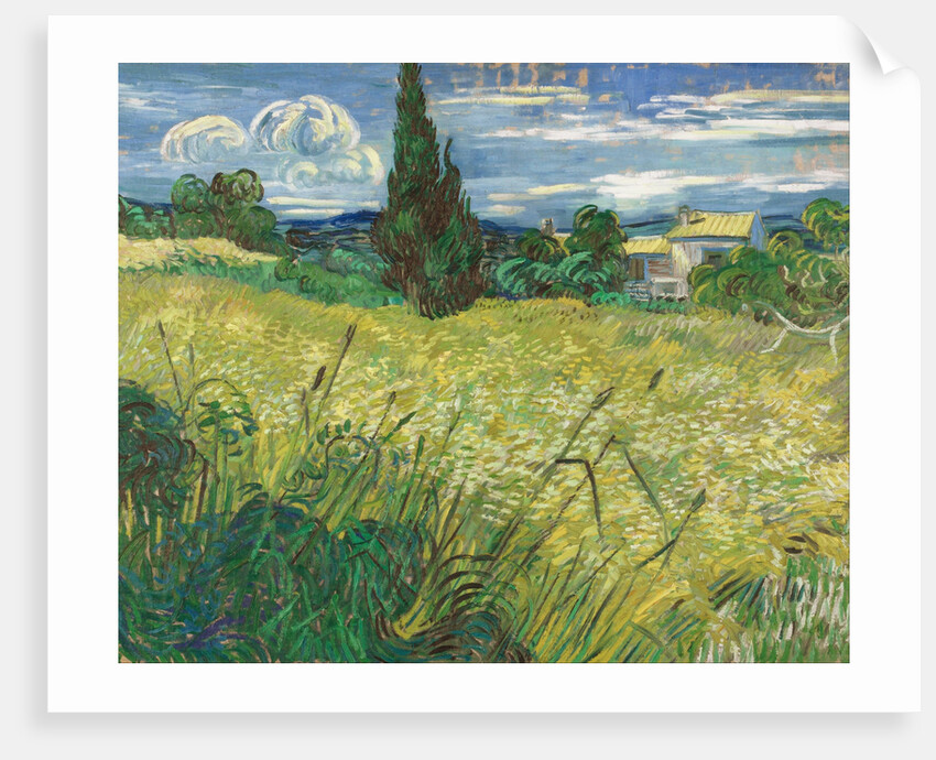 Green Wheat Field with Cypress by Vincent van Gogh