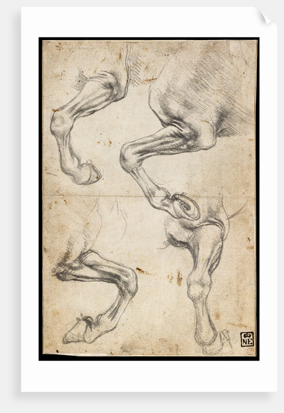 Studies of Horses Leg by Leonardo da Vinci