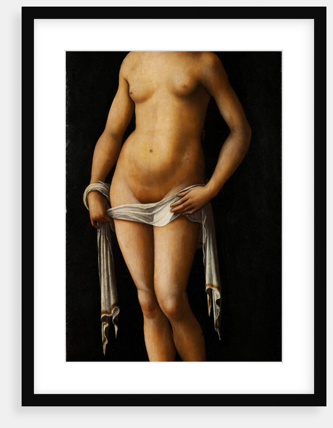 Venus by Lorenzo Costa