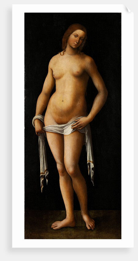 Venus by Lorenzo Costa
