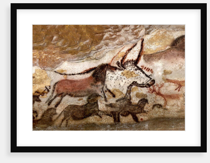 Panel of the Unicorn (Panel of the Black Bear) at Lascaux by Art of the Upper Paleolithic