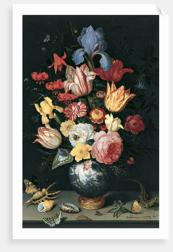 Chinese Vase with Flowers, Shells and Insects by Balthasar van der Ast