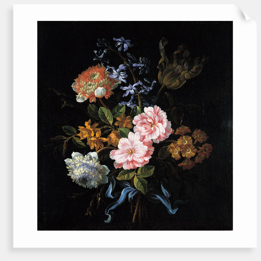 Bouquet of poppy anemones, roses, double campernelle, a hyacinth, a tulip and auricula tied with a b by Jean-Baptiste Monnoyer