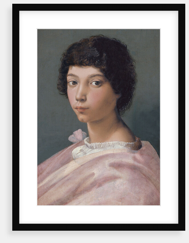 Portrait of a young Man by Raphael