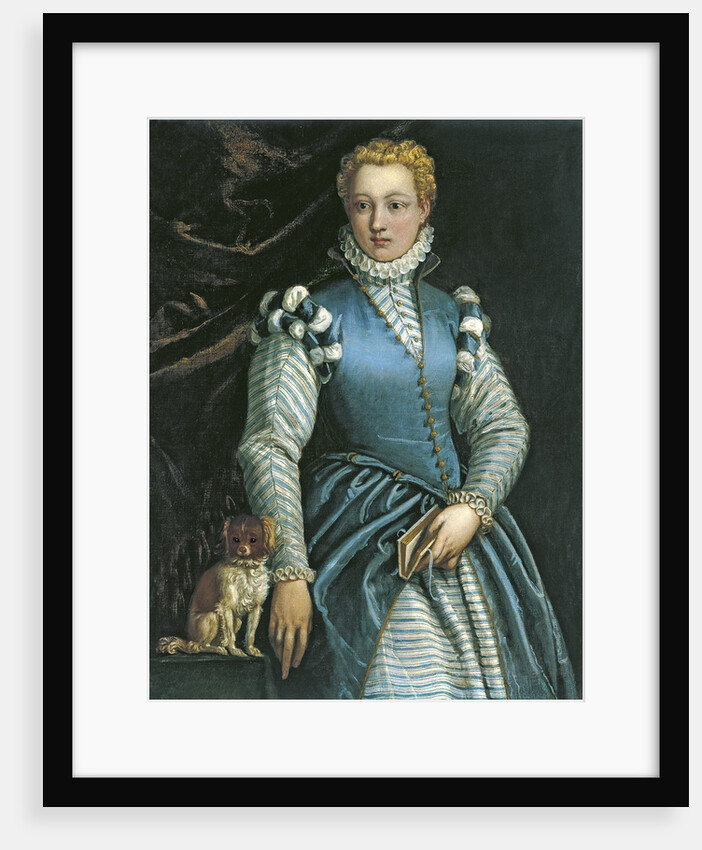Portrait of a Woman with a dog by Paolo Veronese