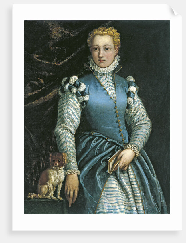 Portrait of a Woman with a dog by Paolo Veronese