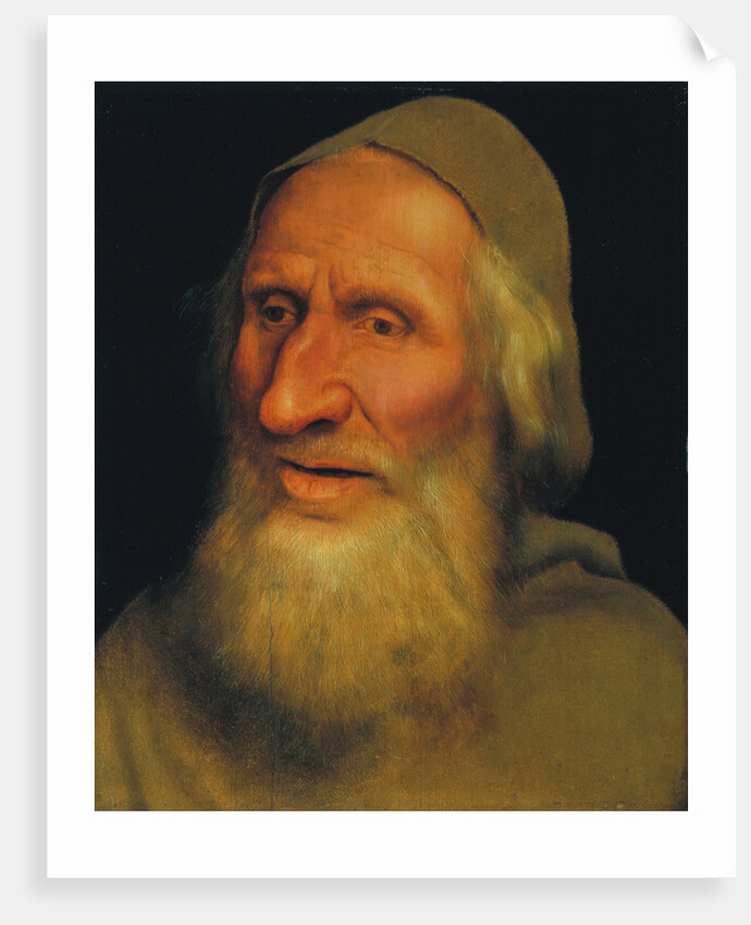 Head of an Old Man by Quentin Massys