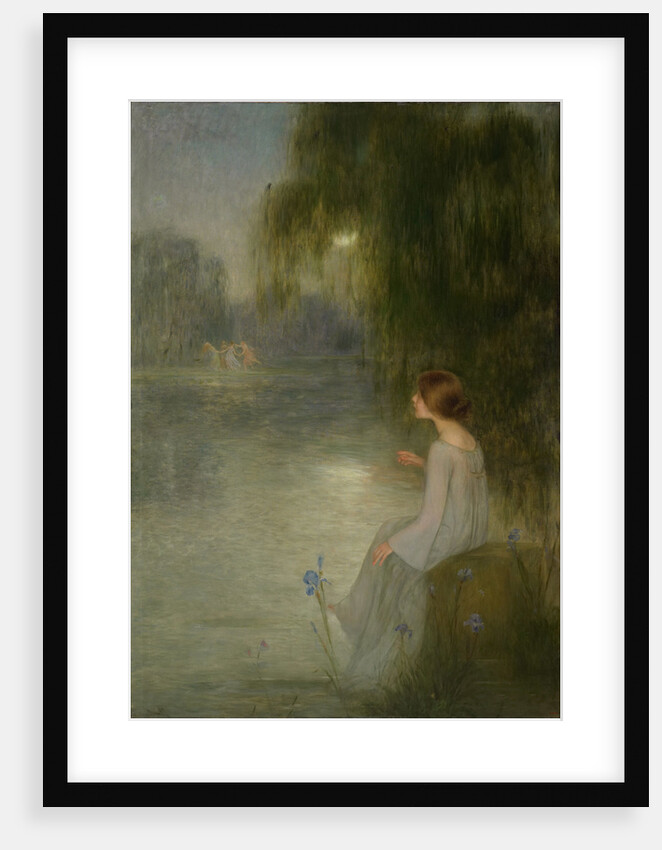 Dream by Joan Brull