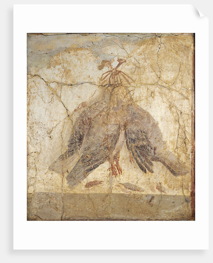 Still Life with the birds hanging from a nail by Roman master
