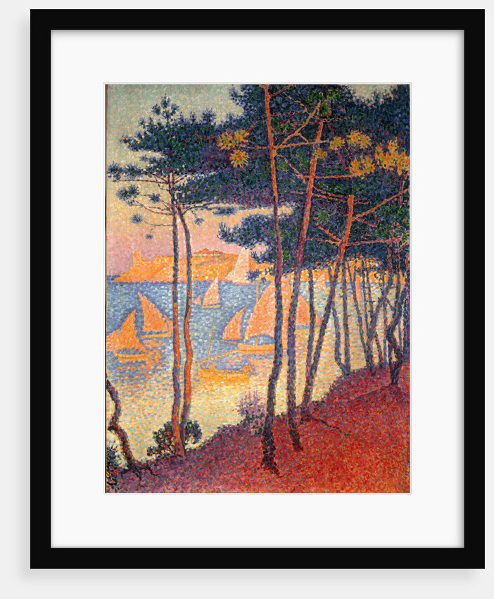 Sails and pines by Paul Signac