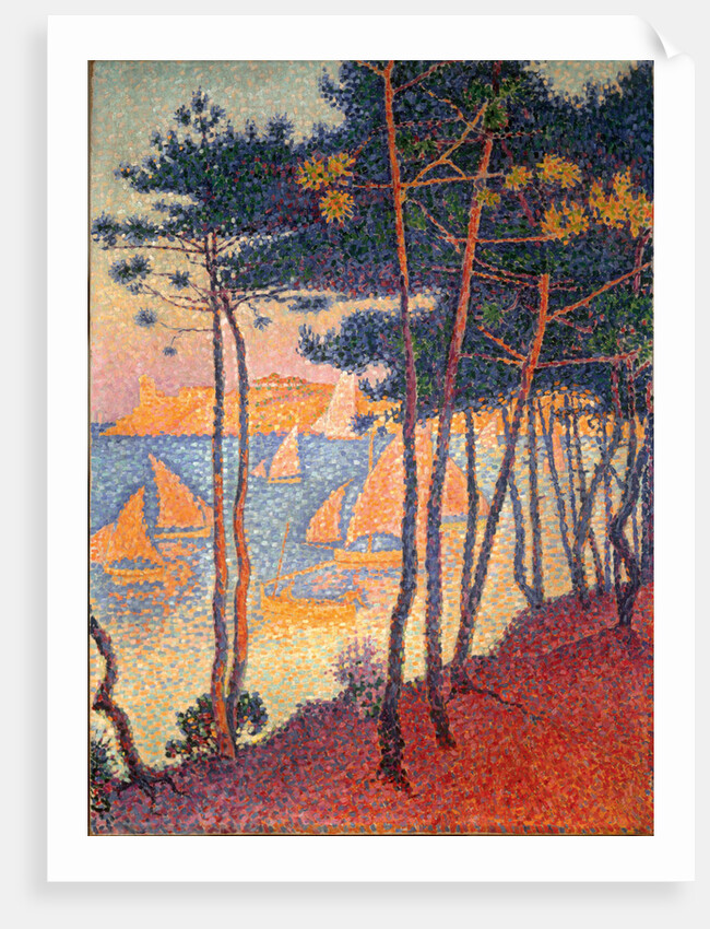 Sails and pines by Paul Signac