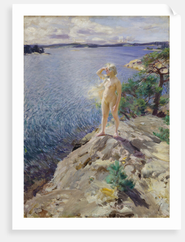 In the Skerries by Anders Leonard Zorn