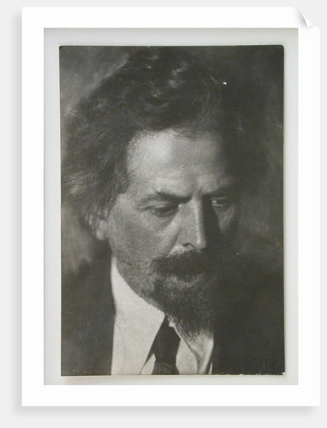 Viktor Aleksandrovich Vesnin by Anonymous
