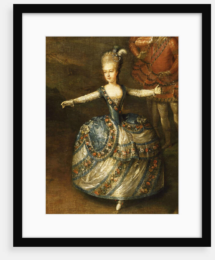 Fête Organized to Celebrate the Marriage of the Emperor Joseph II to Princess Marie-Josèphe of Bavar by Georg Weikert