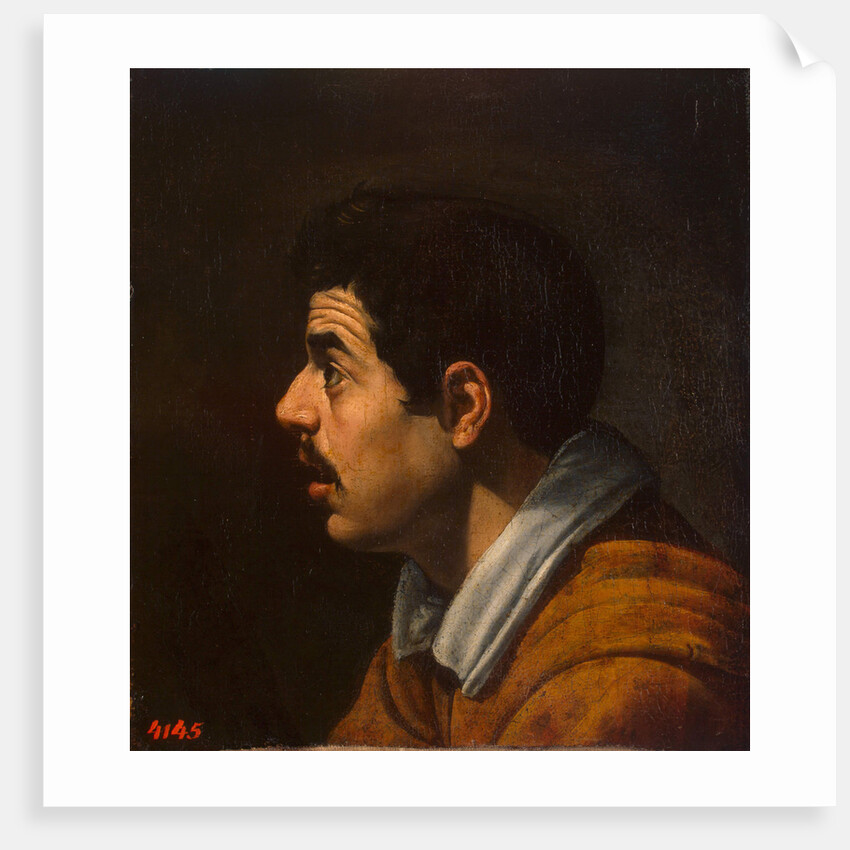 Head of a Man in Profile, c. 1616-1617 by Diego Velàzquez