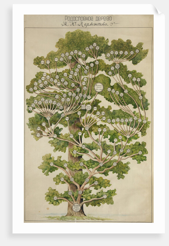 The family tree of Mikhail Lermontov, 1930s by Anonymous
